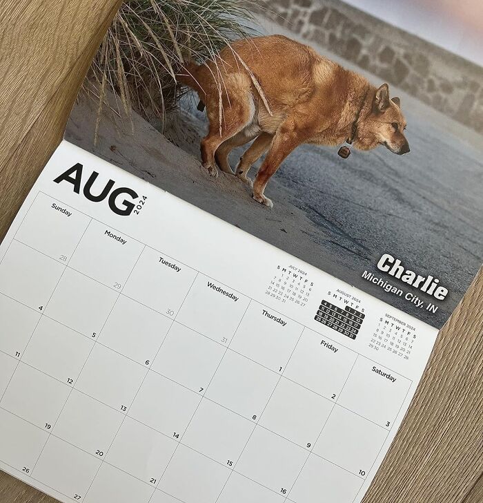 Keep Smiles Coming All Year: Pooping Pooches White Elephant Gag Gift Calendar For Daily Laughs!