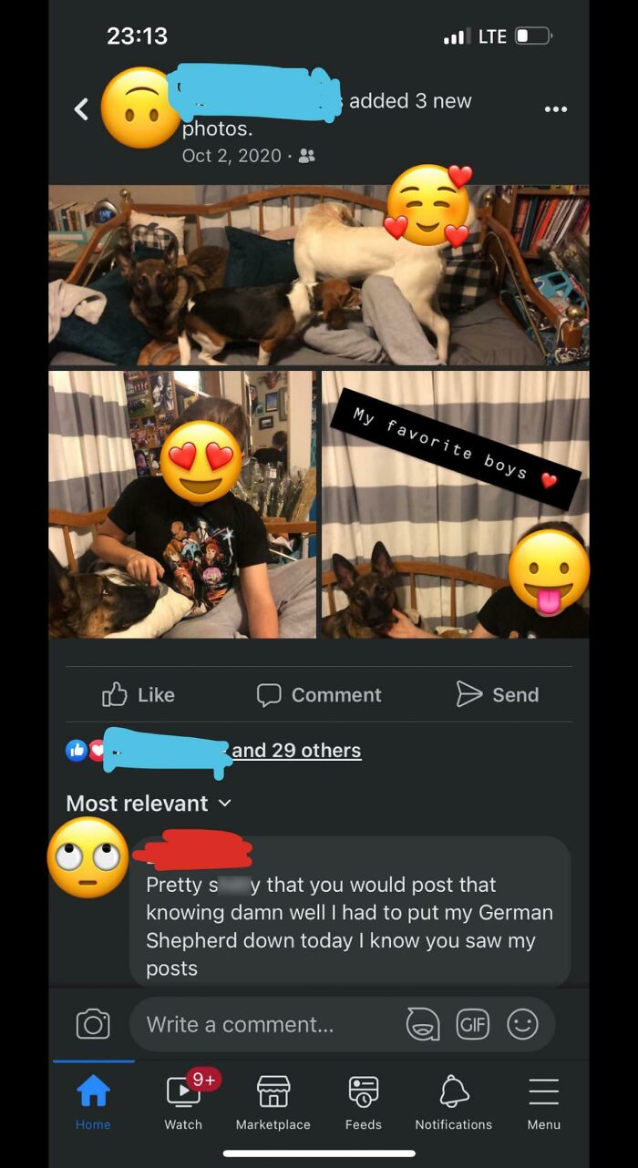 Posted Some Pics Of My Fiancé And Dogs, This Karen Who I Hadn’t Talked To In Over A Year Just Had To Make It About Her. And No I Did Not See Her Post