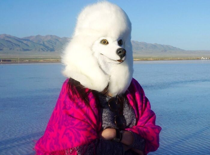 Transform Into A Pawsome Pup: Poodle Dog Mask For A Playful Costume Look