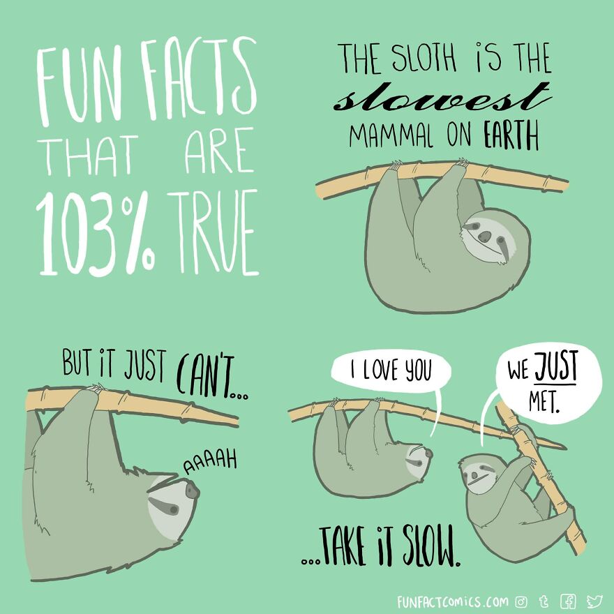 These ‘Fun Fact Comics’ Have The Funniest Answers To Our Everyday Struggles & Questions