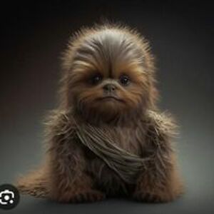 kiersten_andrada avatar