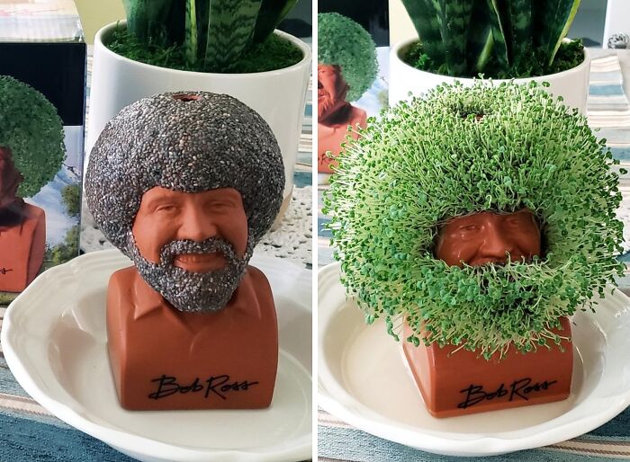 Happy Little Plants: Grow Your Own Bob Ross Chia Pet - Joy In Every Seed!