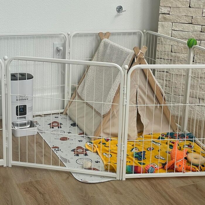 Puppy Play Palace: Unleash Fun With Your Ultimate Dog Playpen!