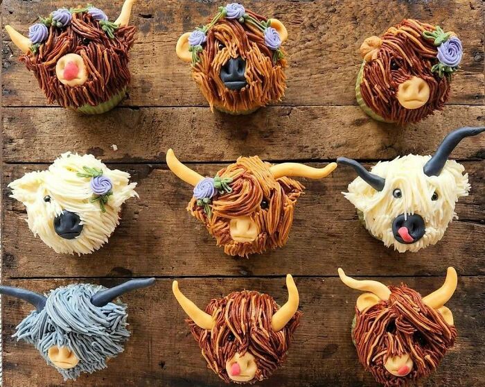 Cupcakes en forma de vacas de las Highlands