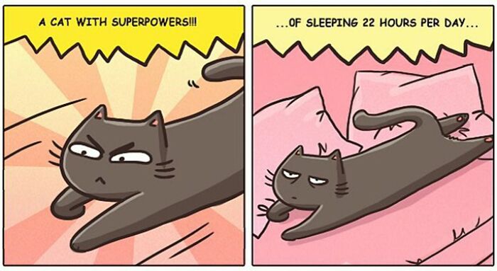 "Catsuthecat": Where Mustaches And Witty Comics Will Make Your Day