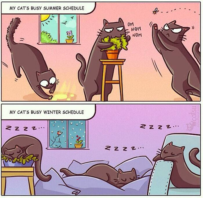 "Catsuthecat": Where Mustaches And Witty Comics Will Make Your Day