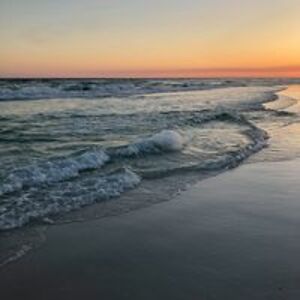 brandon_johns_1 avatar