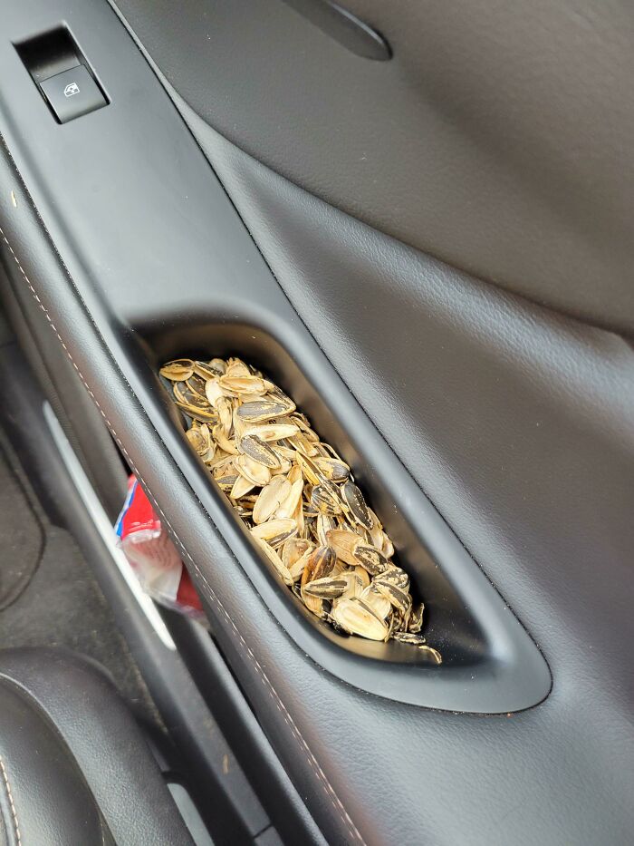 My Wife Spits Her Seed Shells Into The Door Handle Of Our Car