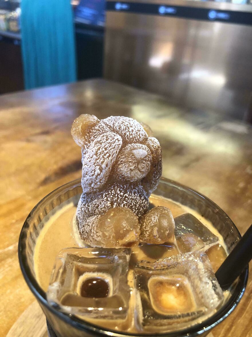 The Cafe I Went To Puts A Teddy Bear Espresso Ice Cube Into Their Iced Lattes