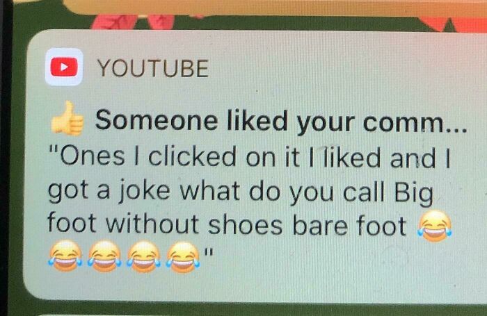 My 8 Year Olds Comment On A Youtube Video