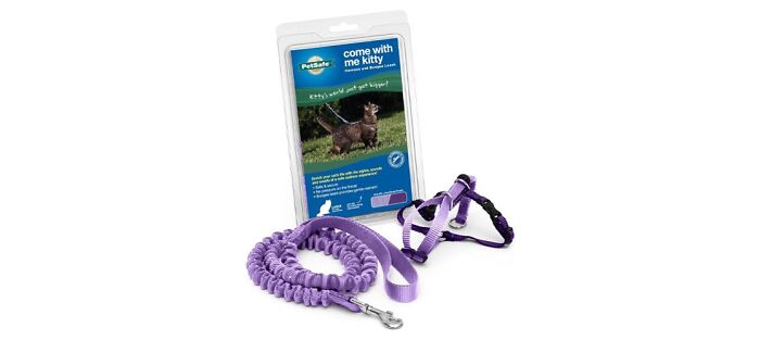 Petsafe Come With Me Kitty Harness And Bungee Leash