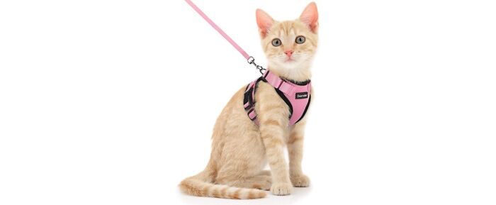 Dooradar Cat Harness And Leash Set