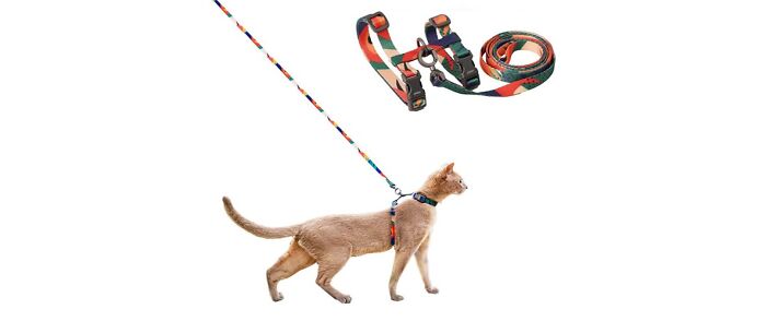 Pidan Cat Harness And Leash Set