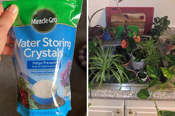 Keep Your Plants Thriving: Water Storing Crystals For Effortless Plant Care, Indoors And Outdoors
