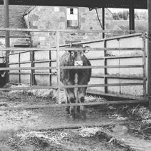 charlottecook0 avatar