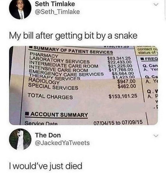 The Snake Isn’t The Problem