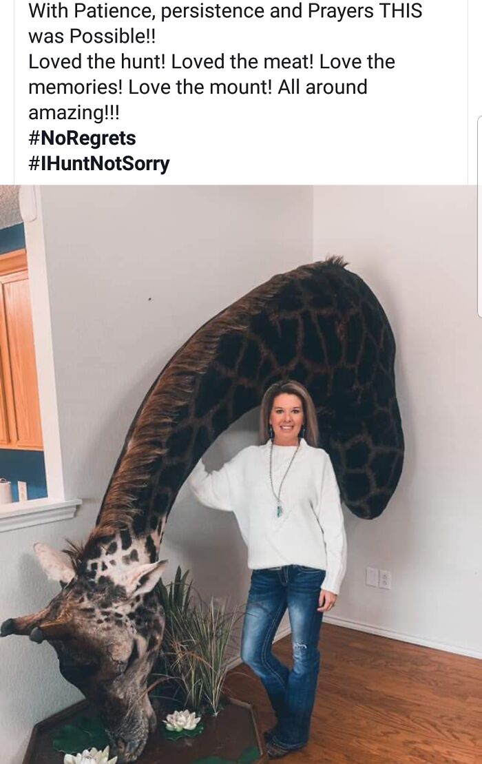 Continuing The Taxidermy Theme