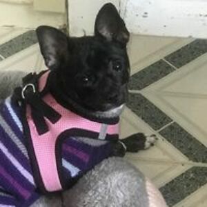 fishingfreckles6 avatar