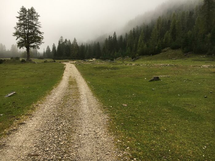A Misty Late Summer Meadow In The High Austrian Alps