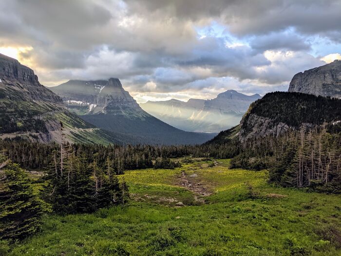 Dramatic Lighting Over A Meadow In Glacier NP, July 2019