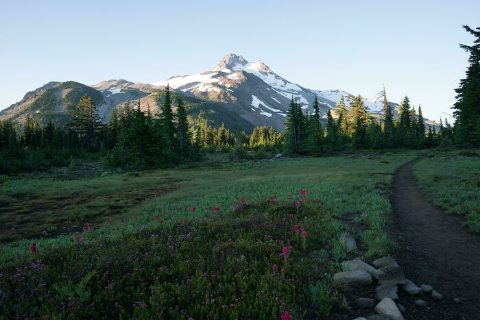 Small Meadow Off The Pct In Oregon's Mount Jefferson Wilderness