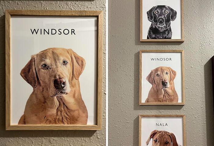 Paws & Reflect: Custom Framed Pet Portraits For A Tail-Wagging Gallery!