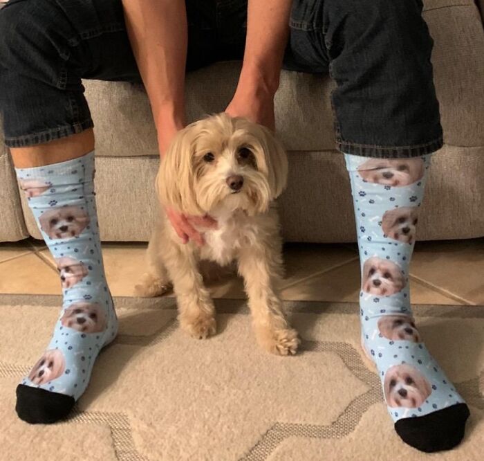 Paws & Pose: Personalized Photo Socks To Flaunt Your Furry Friend!