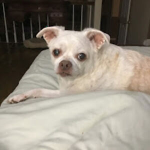 joannilgenfritz avatar