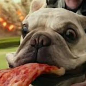 chasejohnson_1 avatar