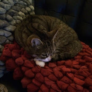 marjoleinsenden avatar