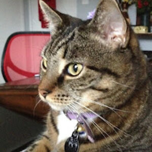 melaniemarcial_1 avatar