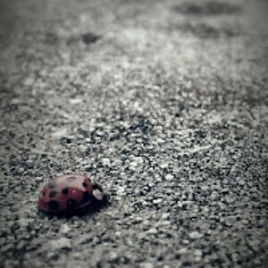 juliannamyers_1 avatar