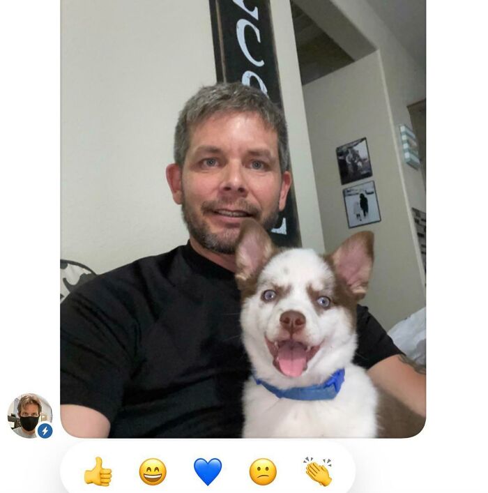 My Teacher Sent A Picture Of Him With His New Dog. It Was In The Class Group Chat On An App That All My Teachers Use. He Sent That Picture To Everybody In The Class