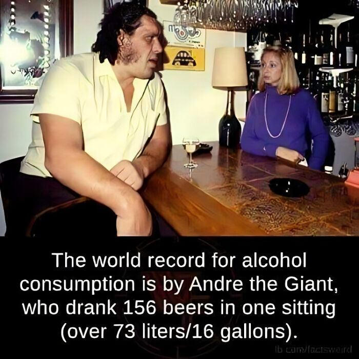 World Beer Drinking Champ And Absolute Unit Andre The Giant