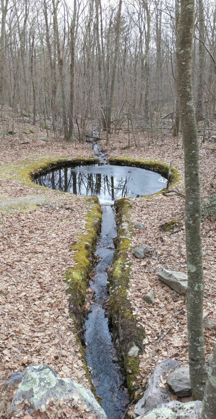 Water Flows From A Culvert Beneath A Trail Into This Circular Pool, Then Continues On Into The Woods. What's The Pool's Purpose?