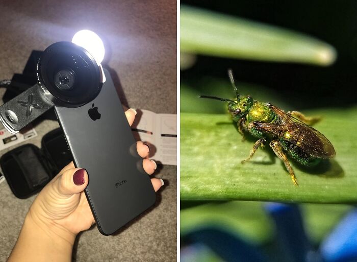 Capture Every Moment In Stunning Detail With The Pro Lens Kit For iPhone And Android