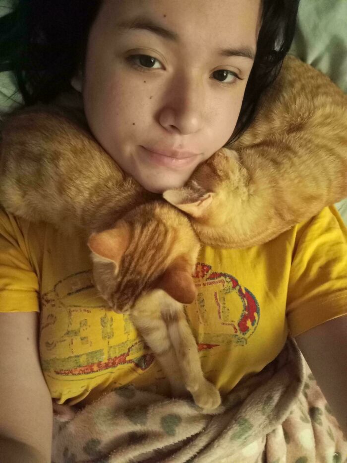 I Adopted Two Orange Cats And My Mornings Started To Look Like This 💕
