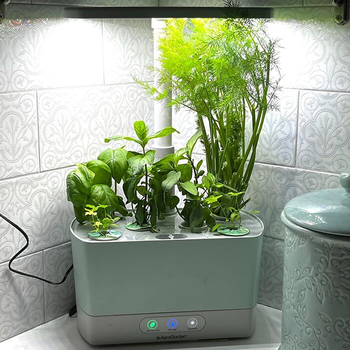 Spice Up Your Space: Aerogarden Harvest For Fresh Herbs Year-Round!