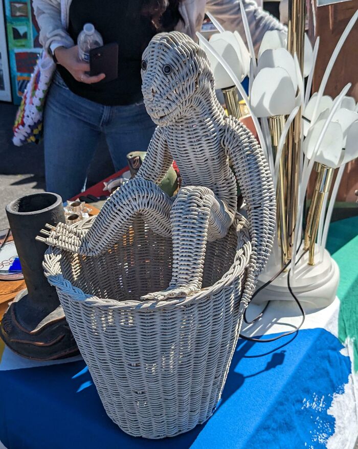 This Wicker Basket With Creepy Squatter