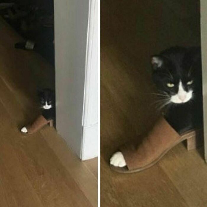 It’s Called Fashion, Sweetie