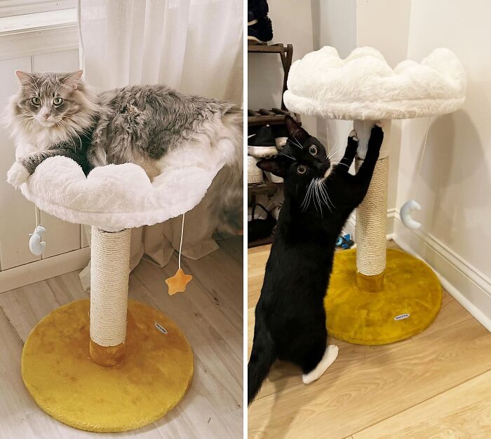 Cloud-Shaped Cat Tree Tower With Bed And Perch For A Purrfect Kitty Nap & Fun!