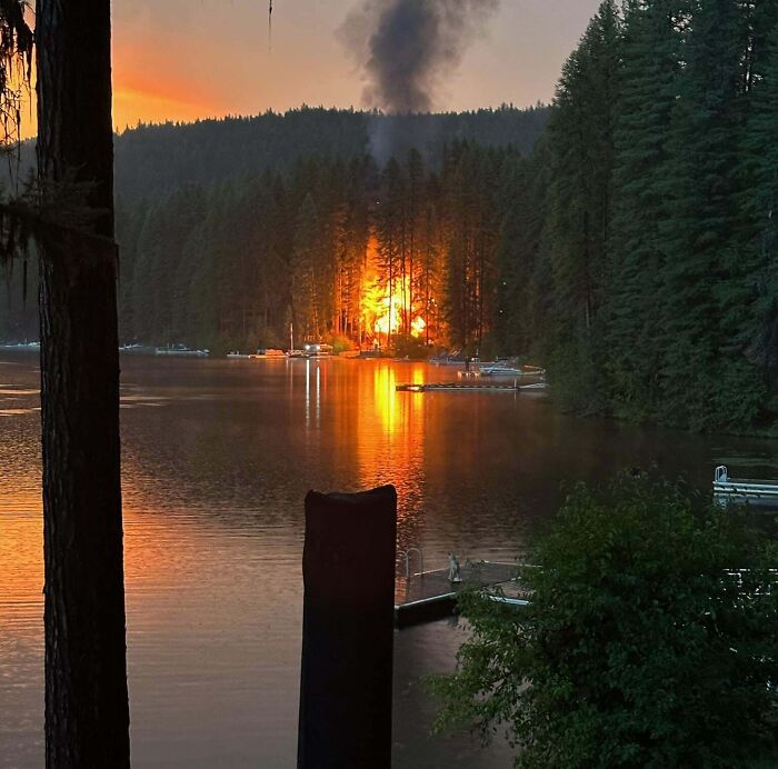 100-Year-Old Family Cabin Burned To The Ground On The First Day Of Vacation