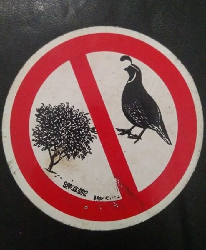 This Sticker On The Inside Cover Of A Second-Hand Bible. Pretty Sure It Depicts A Partridge And A Fig Tree, Both Of Which Have Biblical Connections But No Idea What It Means