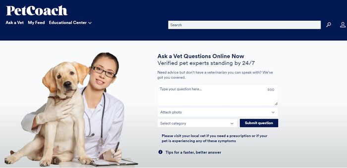 Petcoach online veterinarian main page