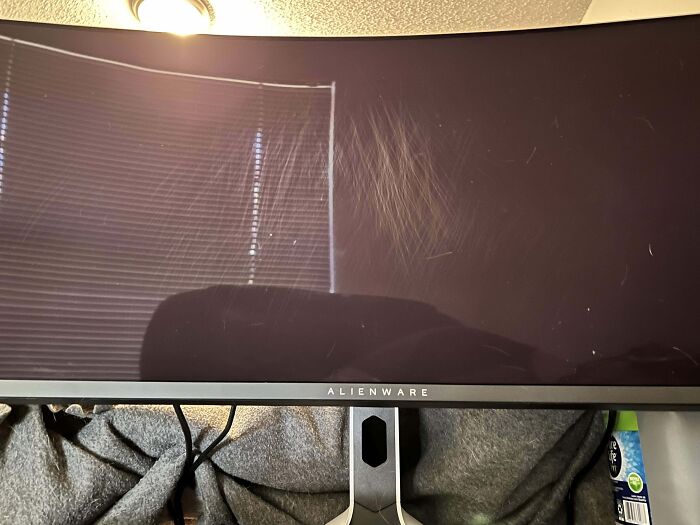 Got A New Kitten, She Decided To Have A Hay Day On My Monitor