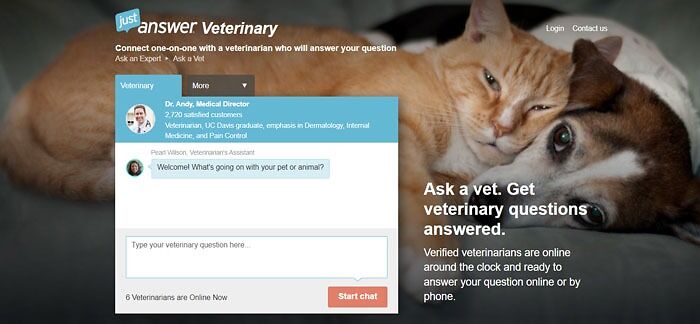 Justanswer online veterinarian main page