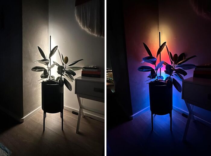 Illuminate & Innovate With Alexa-Compatible LED Corner Lamp : Speak, And It Shines