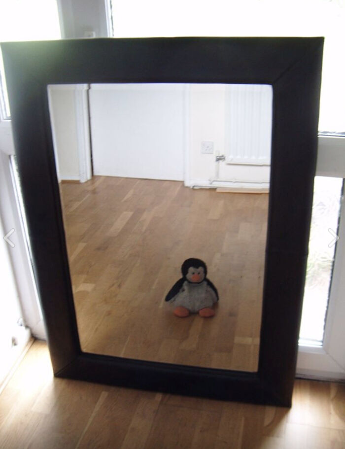 Tiny Hugsy Selling A Mirror