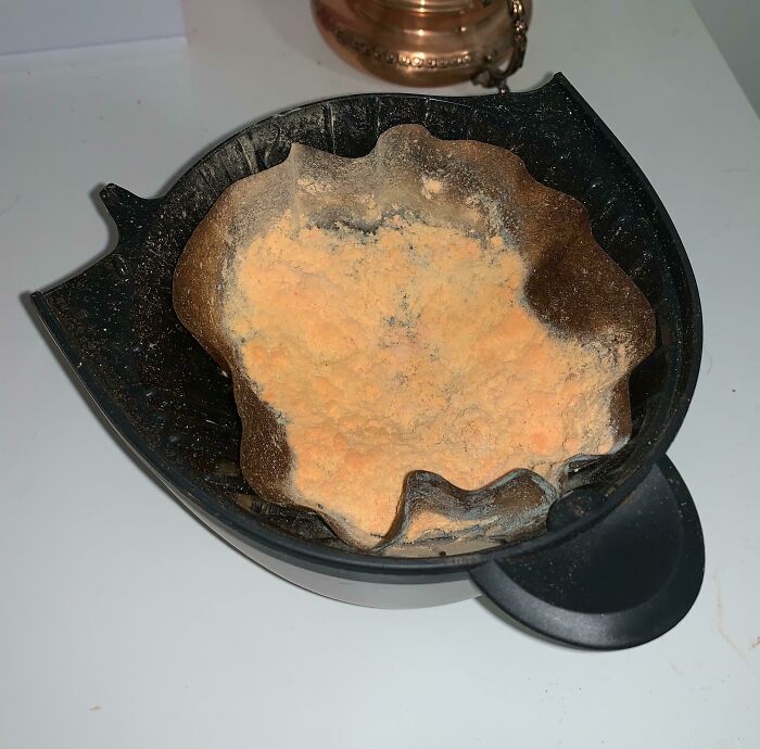 This Moldy Coffee Filter