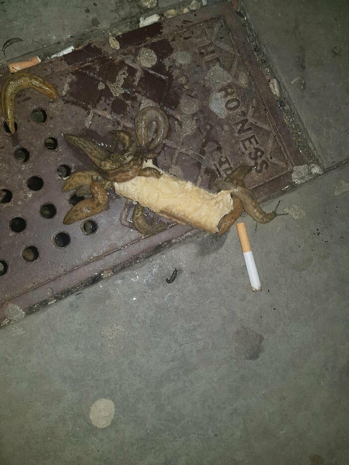 I Bet Somebody Dropped The Cigarette, Was Probably Going To Pick It Up, Saw What Was There And Went "Nooope!"